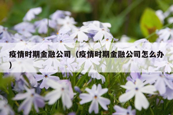 疫情时期金融公司（疫情时期金融公司怎么办）