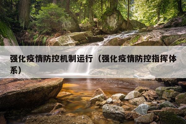 强化疫情防控机制运行（强化疫情防控指挥体系）