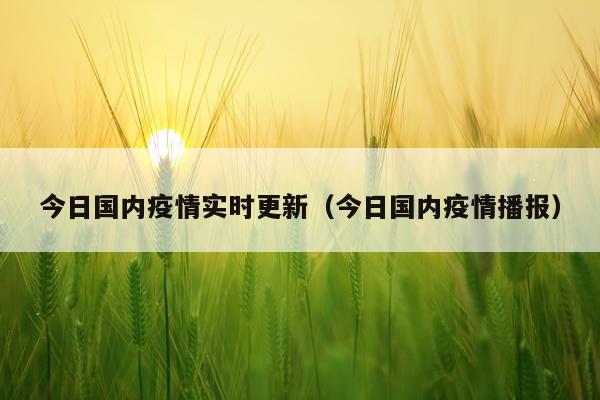 今日国内疫情实时更新（今日国内疫情播报）