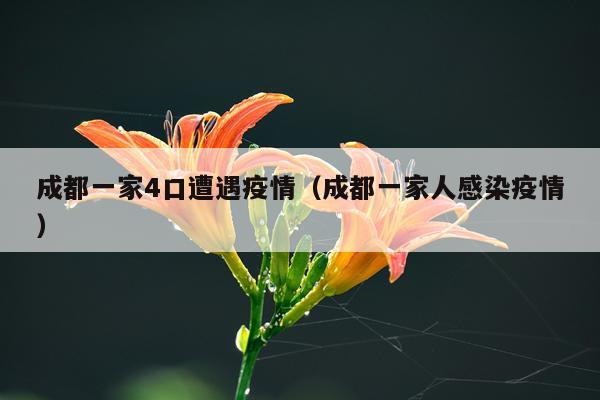 成都一家4口遭遇疫情（成都一家人感染疫情）