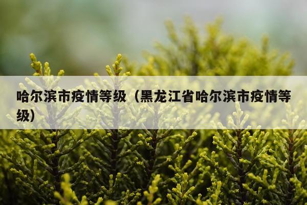 哈尔滨市疫情等级（黑龙江省哈尔滨市疫情等级）