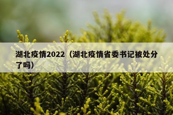 湖北疫情2022（湖北疫情省委书记被处分了吗）