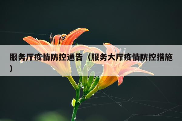 服务厅疫情防控通告（服务大厅疫情防控措施）