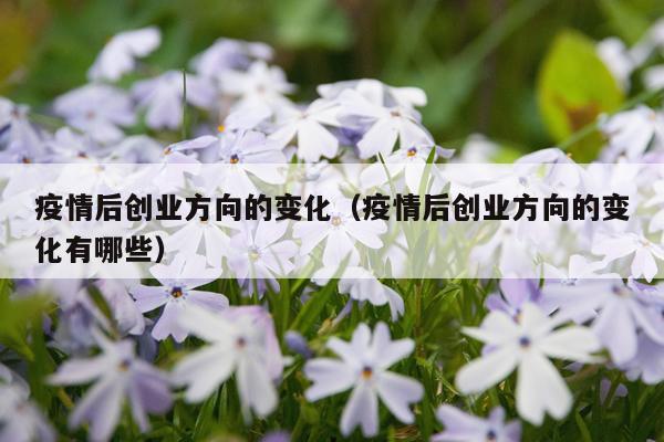 疫情后创业方向的变化（疫情后创业方向的变化有哪些）