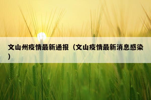 文山州疫情最新通报（文山疫情最新消息感染）