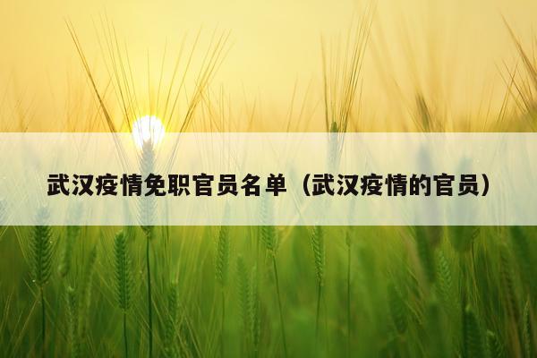 武汉疫情免职官员名单（武汉疫情的官员）