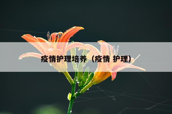 疫情护理培养（疫情 护理）