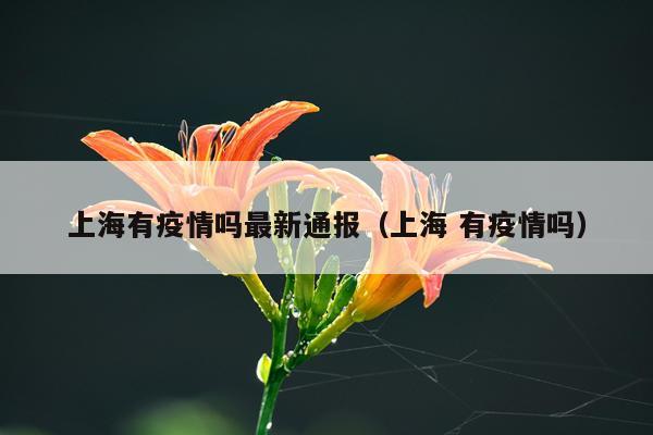 上海有疫情吗最新通报（上海 有疫情吗）