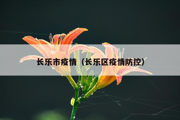 长乐市疫情（长乐区疫情防控）