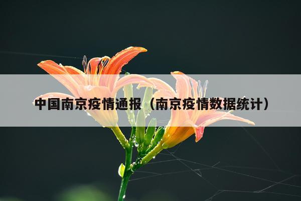 中国南京疫情通报（南京疫情数据统计）