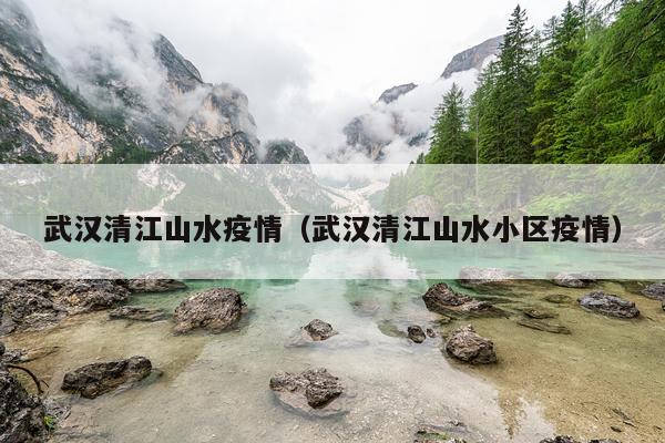 武汉清江山水疫情（武汉清江山水小区疫情）