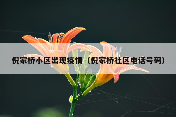 倪家桥小区出现疫情（倪家桥社区电话号码）