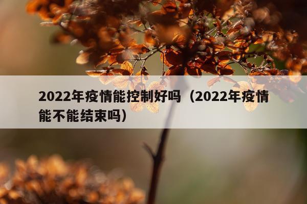 2022年疫情能控制好吗（2022年疫情能不能结束吗）