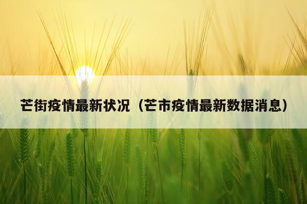 芒街疫情最新状况（芒市疫情最新数据消息）