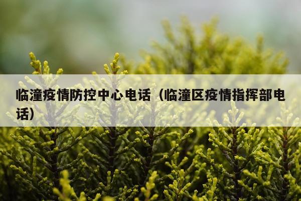 临潼疫情防控中心电话（临潼区疫情指挥部电话）