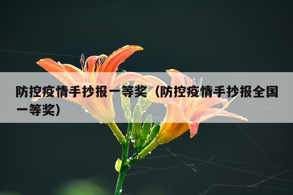 防控疫情手抄报一等奖（防控疫情手抄报全国一等奖）