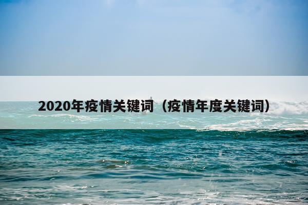 2020年疫情关键词（疫情年度关键词）
