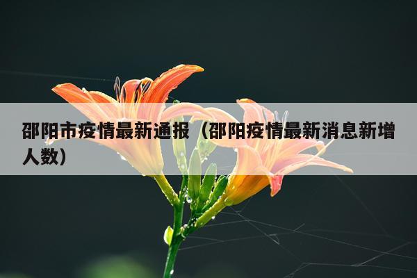 邵阳市疫情最新通报（邵阳疫情最新消息新增人数）