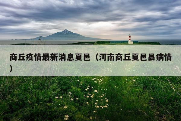 商丘疫情最新消息夏邑（河南商丘夏邑县病情）