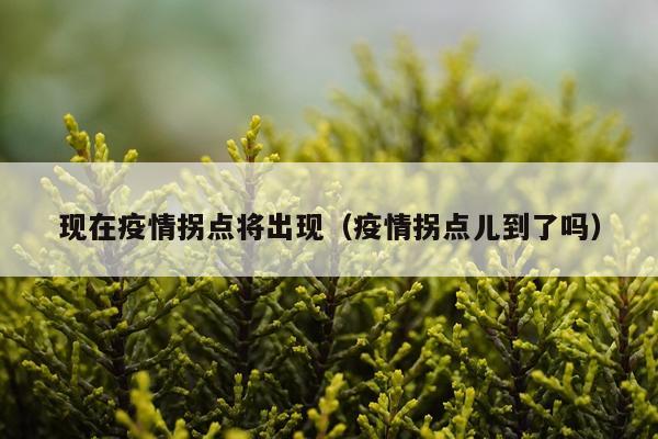 现在疫情拐点将出现（疫情拐点儿到了吗）