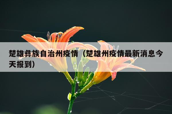 楚雄彝族自治州疫情（楚雄州疫情最新消息今天报到）