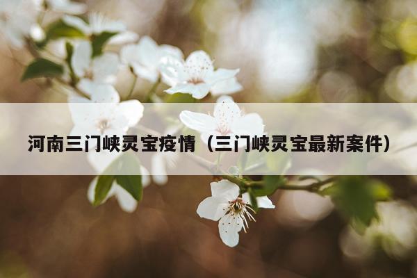 河南三门峡灵宝疫情（三门峡灵宝最新案件）