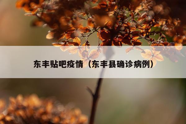 东丰贴吧疫情（东丰县确诊病例）