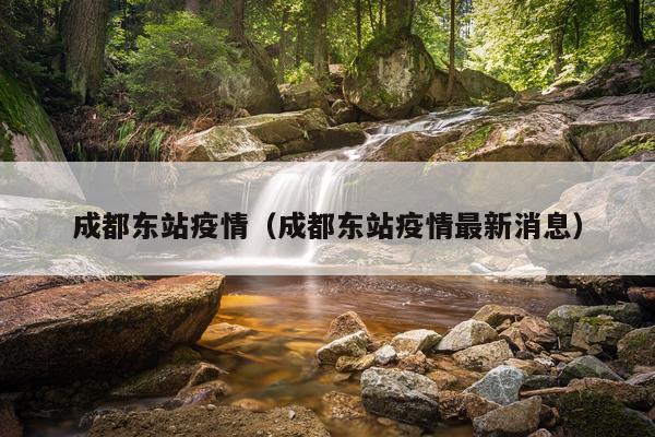 成都东站疫情（成都东站疫情最新消息）
