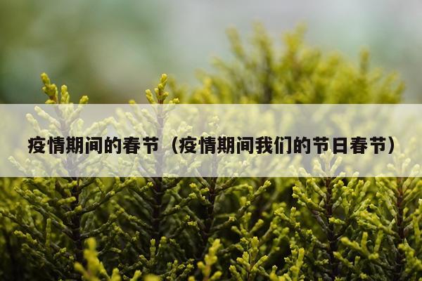 疫情期间的春节（疫情期间我们的节日春节）