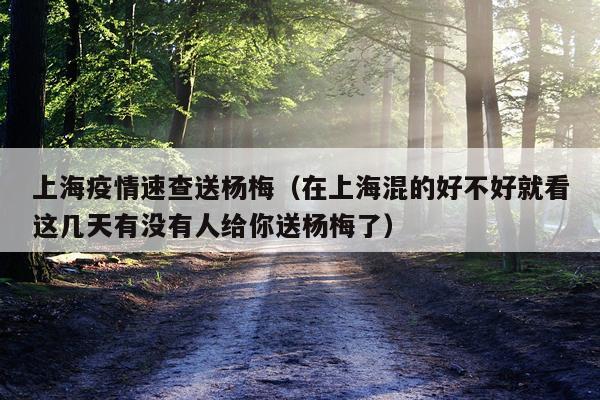 上海疫情速查送杨梅（在上海混的好不好就看这几天有没有人给你送杨梅了）