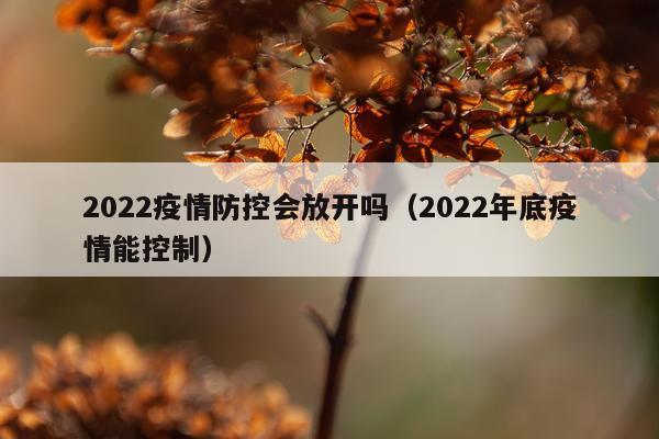 2022疫情防控会放开吗（2022年底疫情能控制）