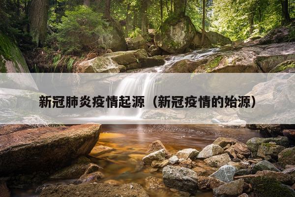 新冠肺炎疫情起源（新冠疫情的始源）