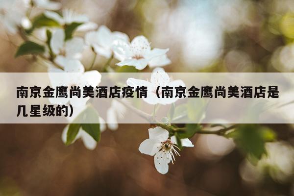 南京金鹰尚美酒店疫情（南京金鹰尚美酒店是几星级的）