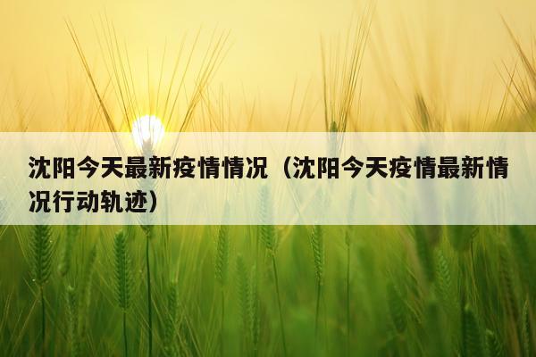 沈阳今天最新疫情情况（沈阳今天疫情最新情况行动轨迹）