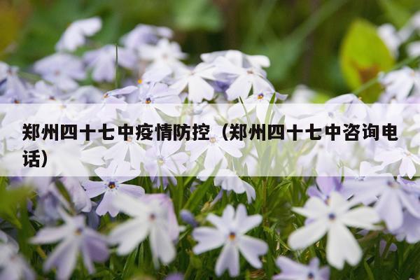 郑州四十七中疫情防控（郑州四十七中咨询电话）