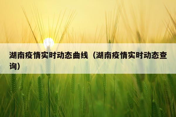 湖南疫情实时动态曲线（湖南疫情实时动态查询）