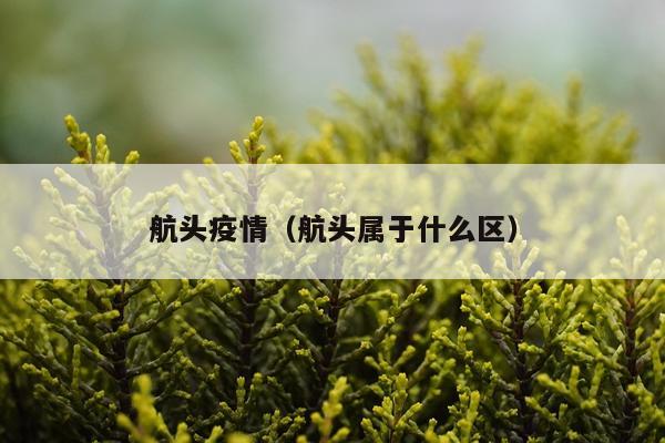 航头疫情（航头属于什么区）