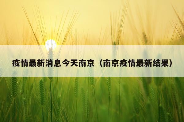 疫情最新消息今天南京（南京疫情最新结果）