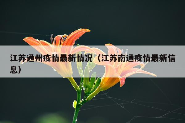 江苏通州疫情最新情况（江苏南通疫情最新信息）