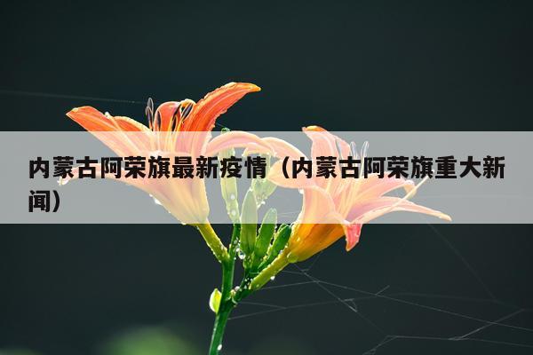 内蒙古阿荣旗最新疫情（内蒙古阿荣旗重大新闻）