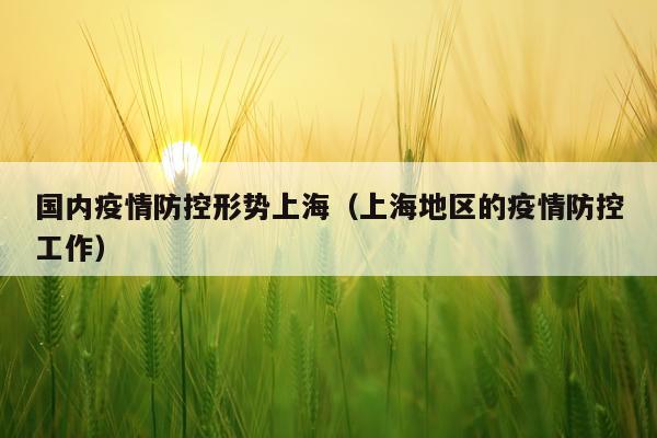 国内疫情防控形势上海（上海地区的疫情防控工作）