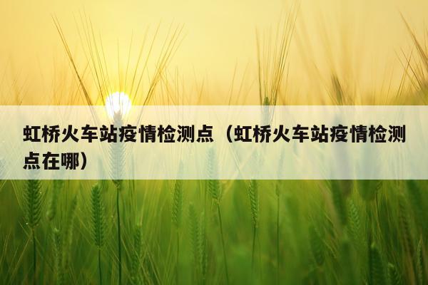 虹桥火车站疫情检测点（虹桥火车站疫情检测点在哪）