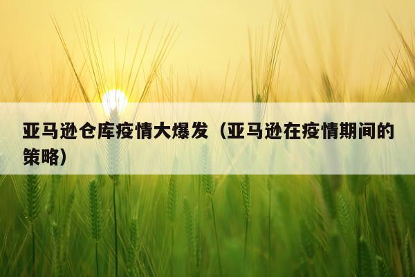 亚马逊仓库疫情大爆发（亚马逊在疫情期间的策略）