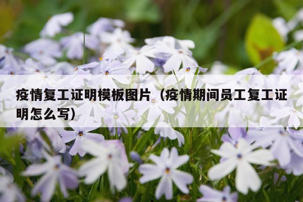 疫情复工证明模板图片（疫情期间员工复工证明怎么写）