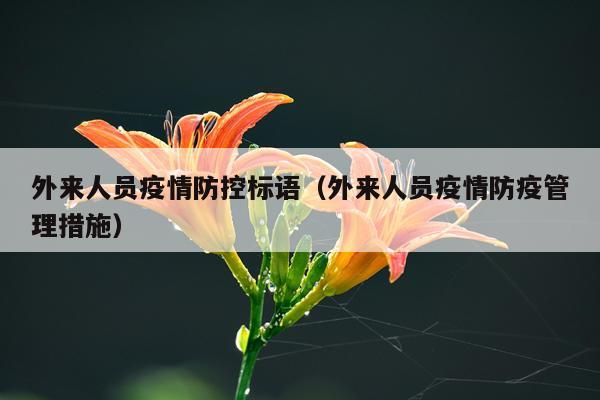 外来人员疫情防控标语（外来人员疫情防疫管理措施）