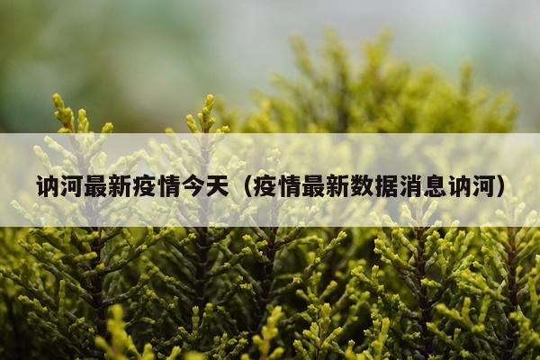 讷河最新疫情今天（疫情最新数据消息讷河）
