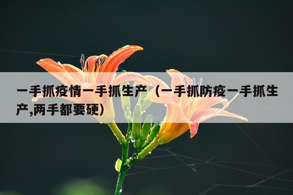 一手抓疫情一手抓生产（一手抓防疫一手抓生产,两手都要硬）