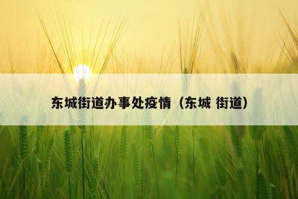 东城街道办事处疫情（东城 街道）