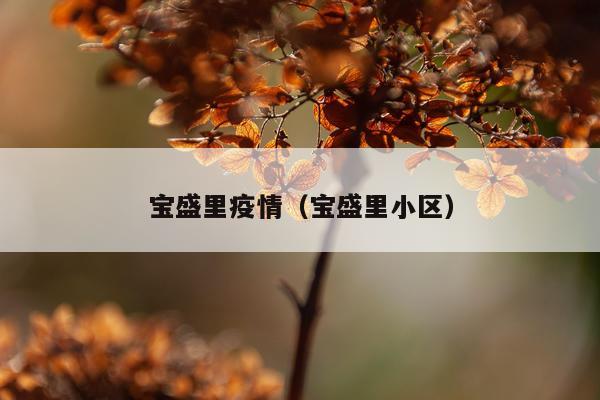 宝盛里疫情（宝盛里小区）