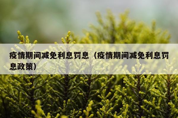 疫情期间减免利息罚息（疫情期间减免利息罚息政策）